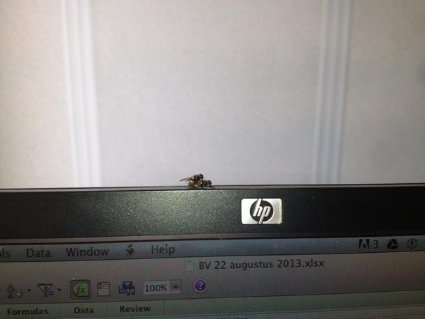 sex at work