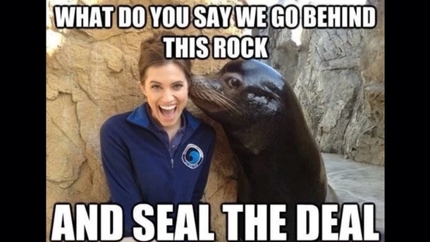 Sex Seals