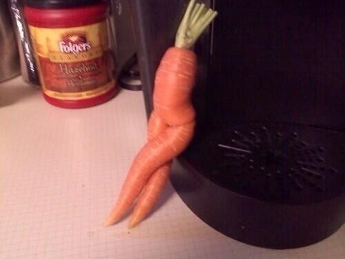 Sexy carrot is very sexy