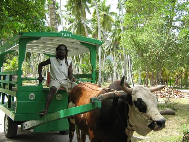 Seychelles taxi