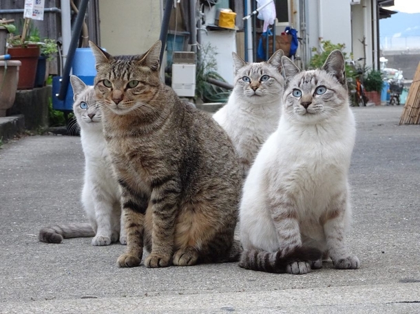 Shadow-clone jutsu when youre running low on chakra