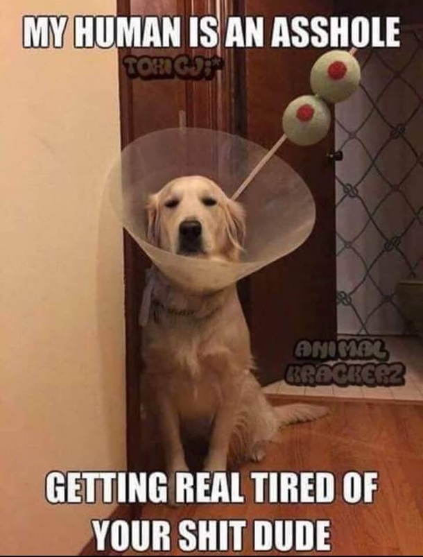 Shaken not stirred