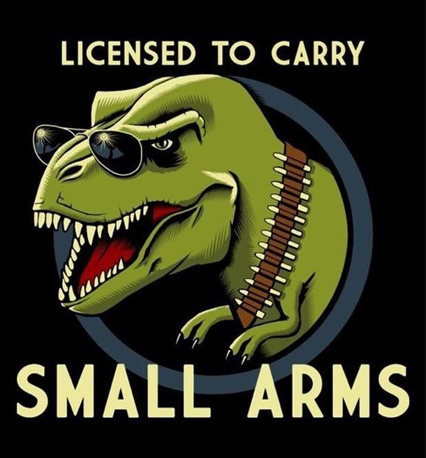 Shall not be infringed