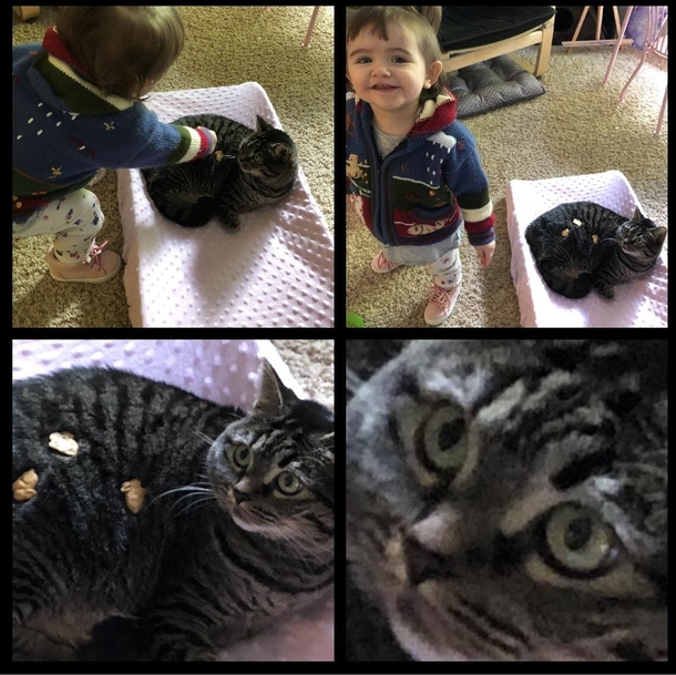 Sharing crackers