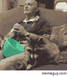 Sharing food with a raccoon Who knew they could be so cute