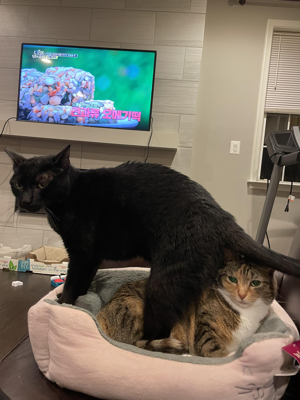 Sharing is caring