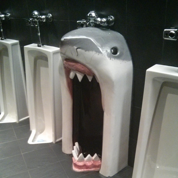 Shark Attack