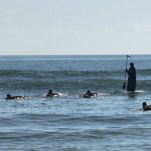 Shark in the water