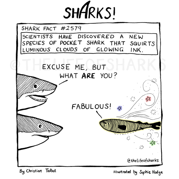 Sharks Fabulous