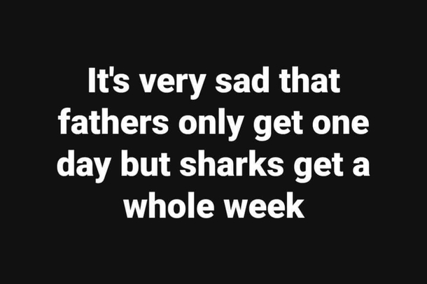 Sharks rule