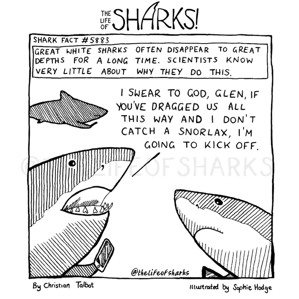 Sharks The Depths