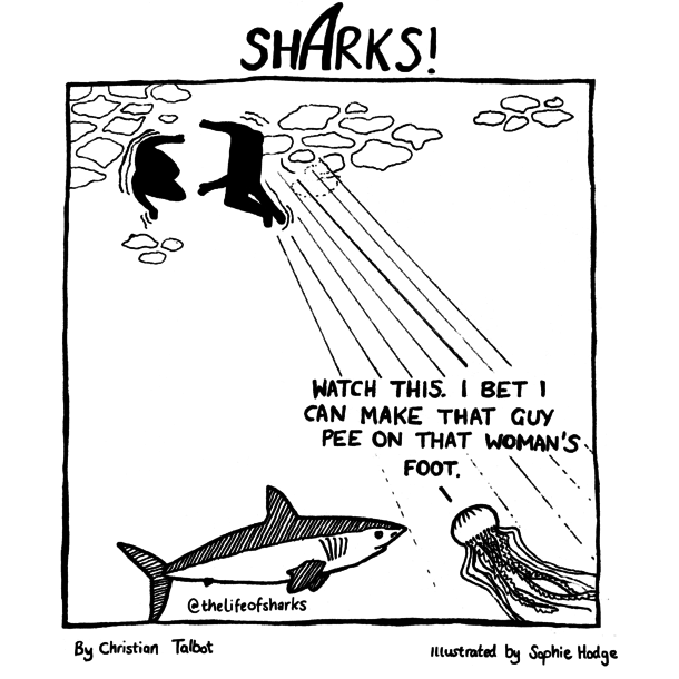 Sharks Watch This