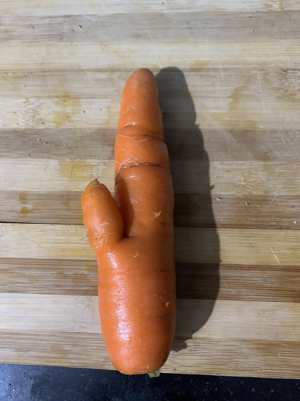 She bought the RABBITs Carrot