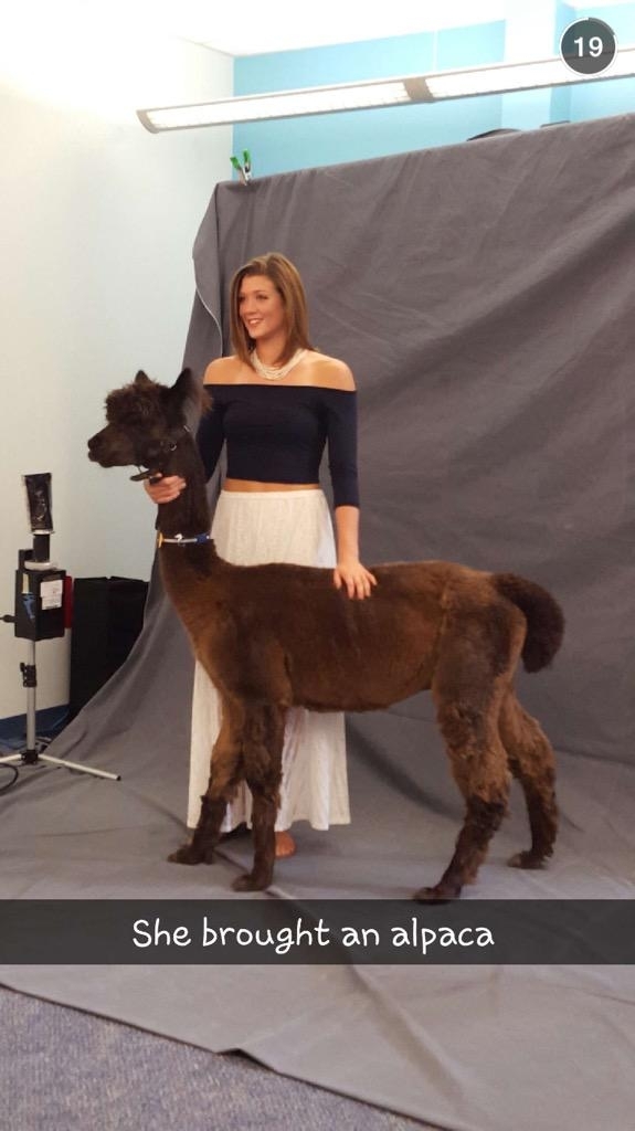 She brought an alpaca to her senior portraits