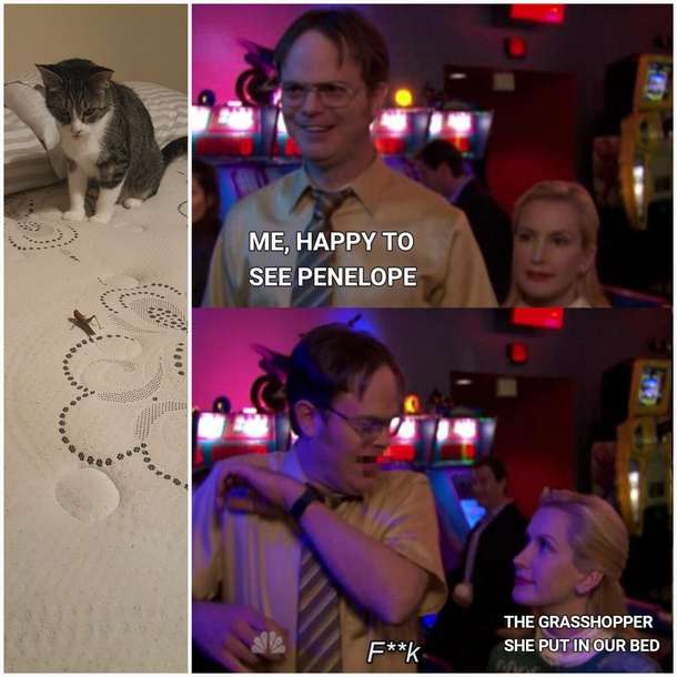 She brought me a gift 