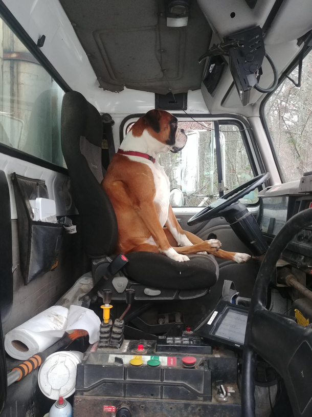 She comes and visits every friday during work Yesterday she decided she wanted to come with