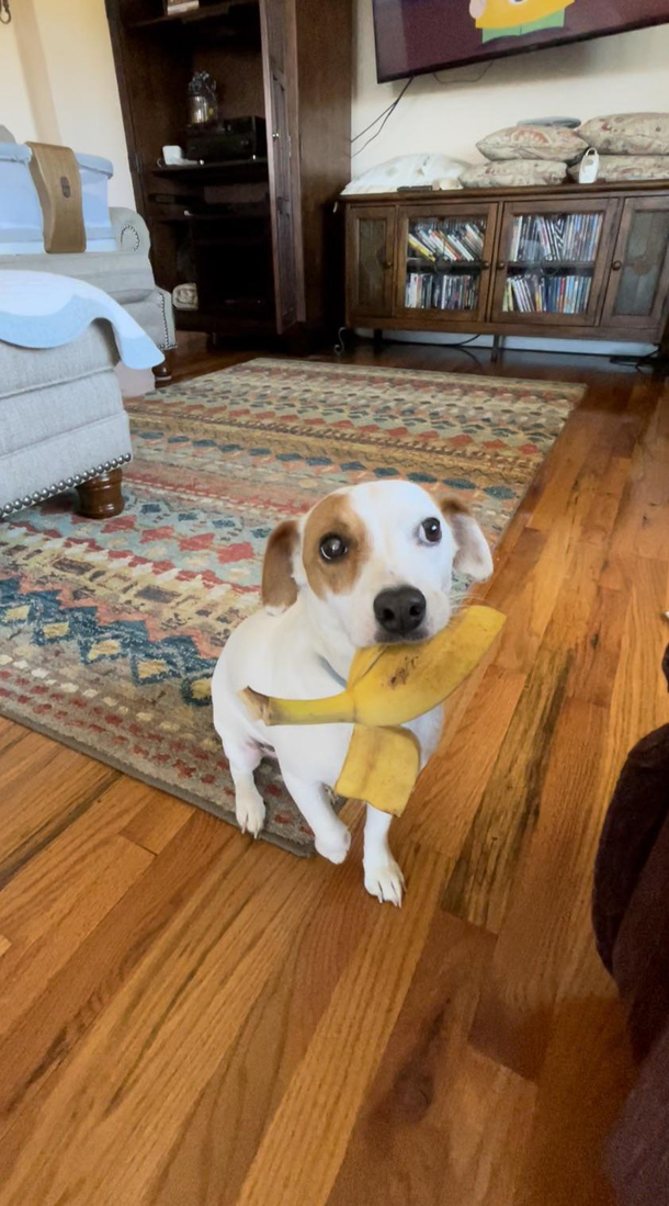 She didnt know what to do with it after she stole it