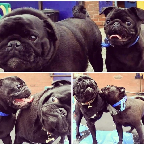 She found a boy she likes at daycare but I dont think the feeling is mutual