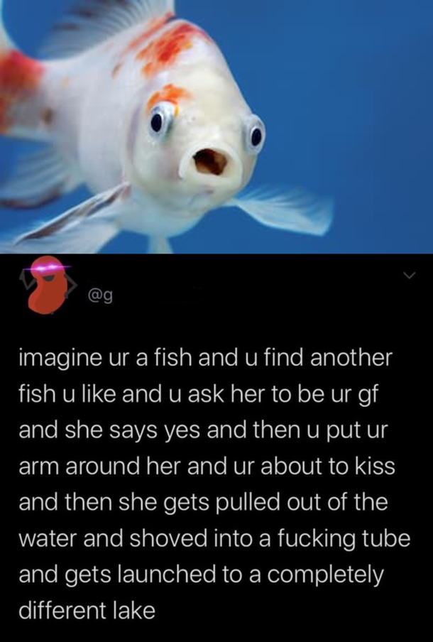 She goes to another school
