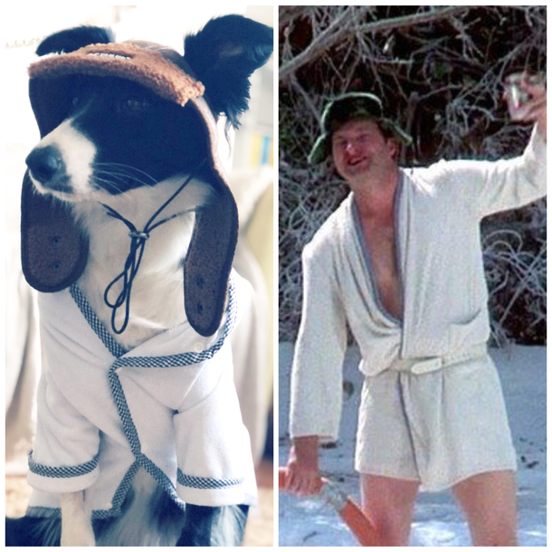 She has a hat and robe to stop her scratching her stitches We just realised who she looks like