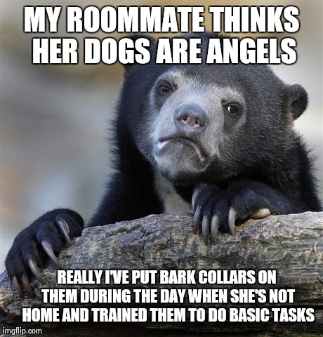 She has no idea but I like to sleep past  am