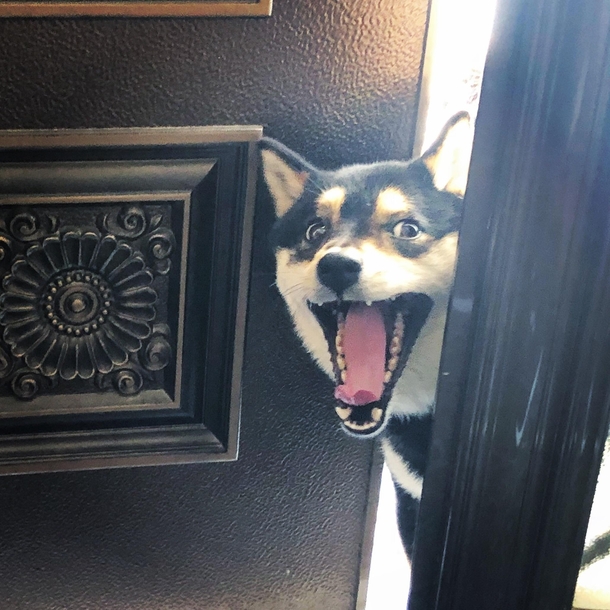 She heard us getting ready to go for a walk