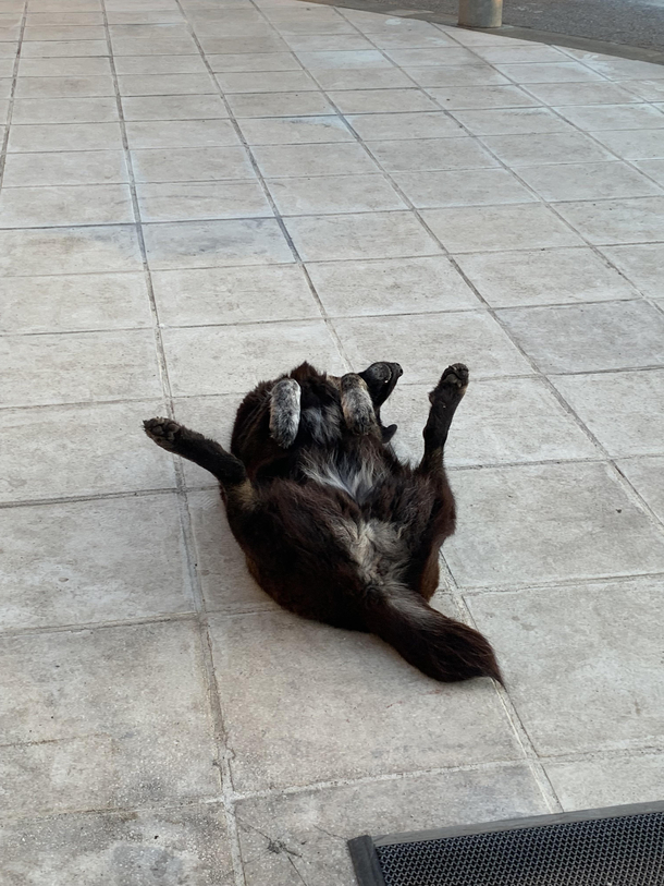 She is like this for an hour 
