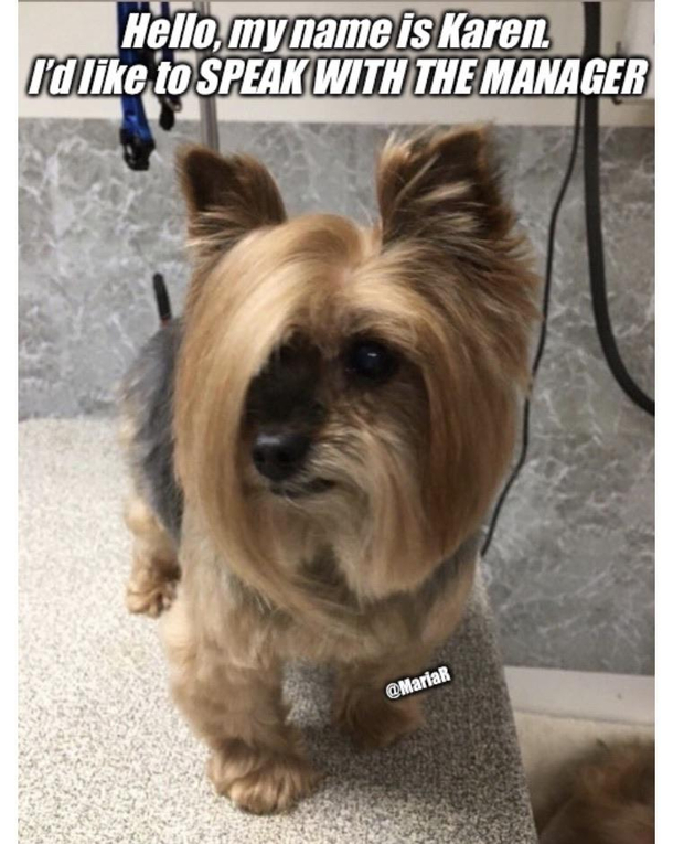 She is not leaving without a full refund