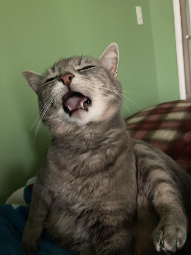 She just finished licking her butt and stayed like this for a whole minute