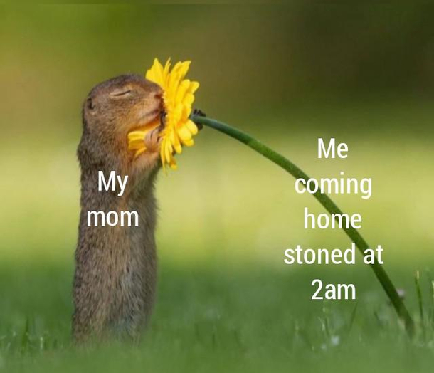 She knows