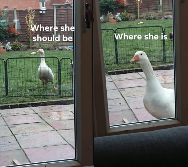 She knows what the fence is she doesnt care