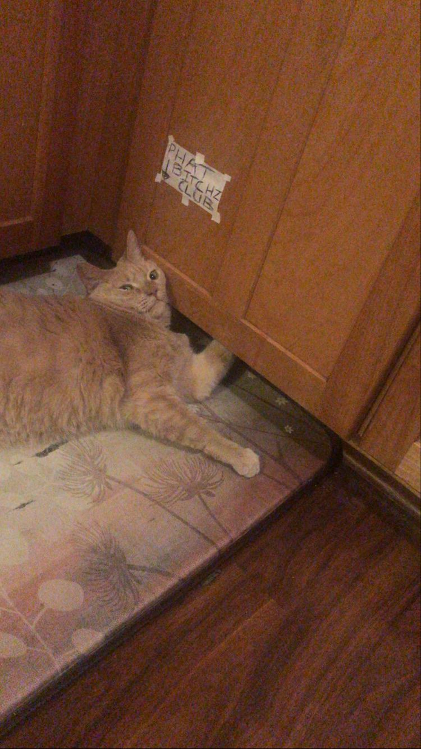 She likes the heat vent