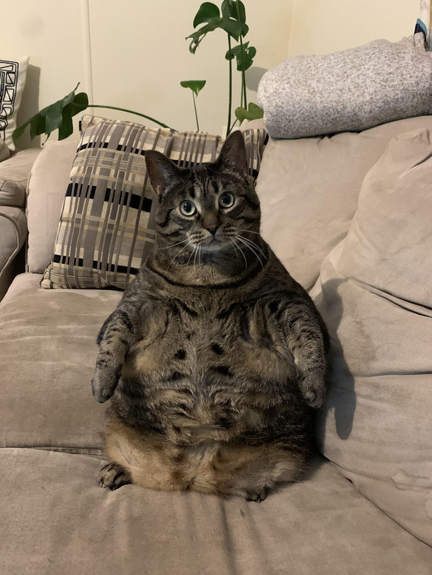 She likes to sit like this Im not sure why