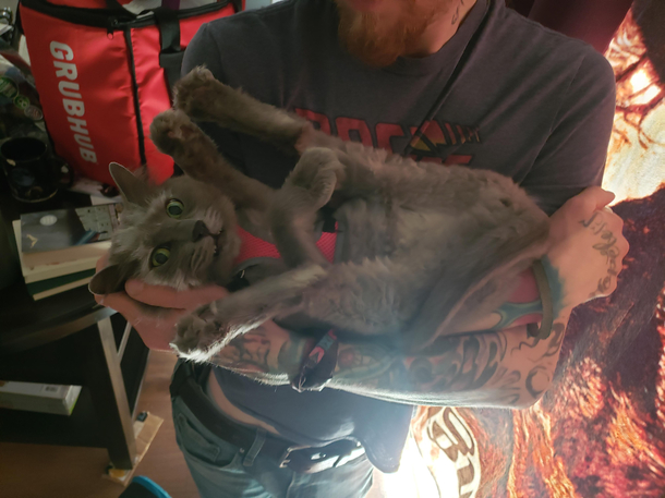 she loves being held like a baby but insists on stretching this way