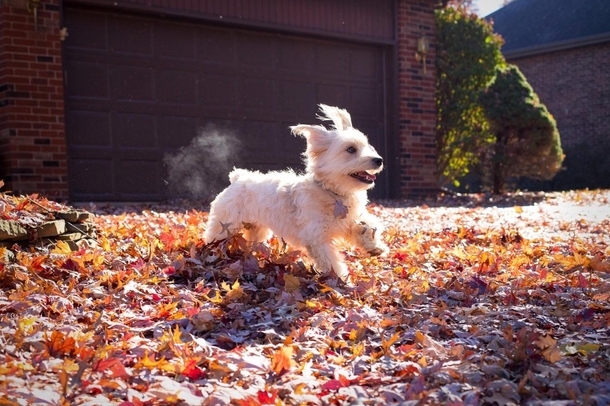 She ran through a cloud of her breath and it looks like she farted