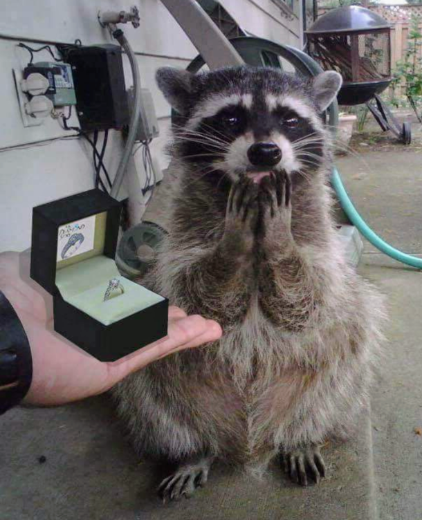 She said yes