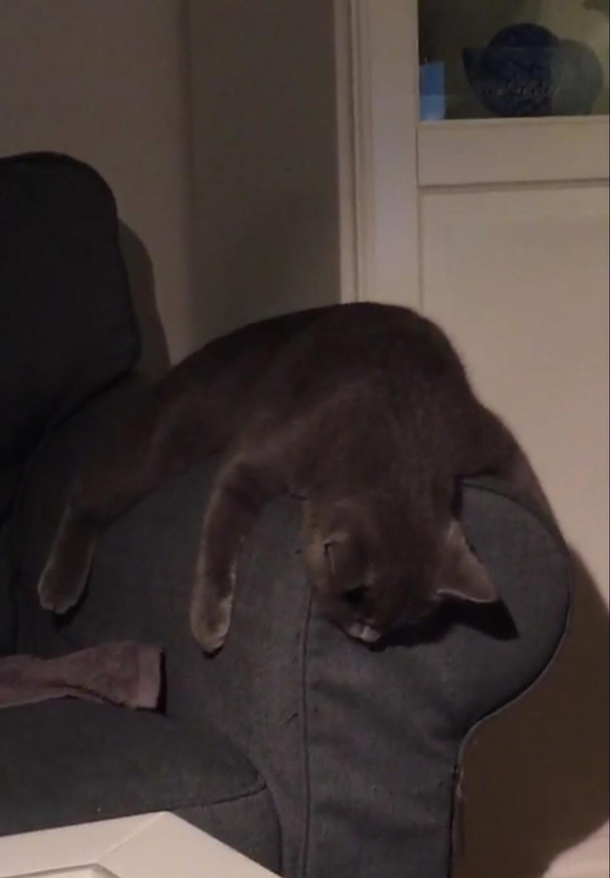 She sleeps like this