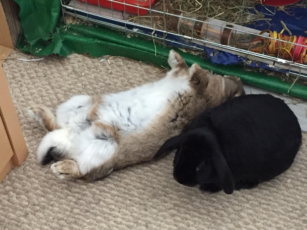 She sleeps like this husbun is embarrassed by her