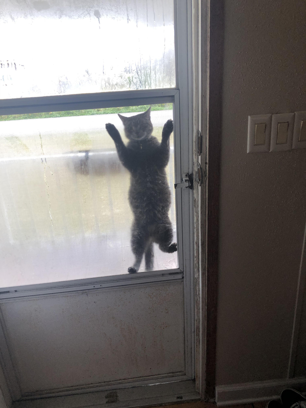 She wants to go inside