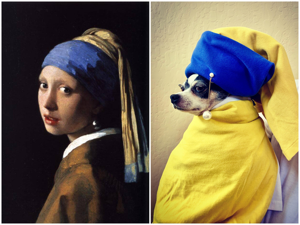 She was a dog all along