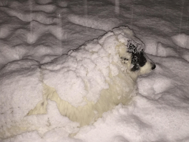 She watched it snow so long she became snow herself