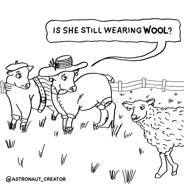 Sheep fashion