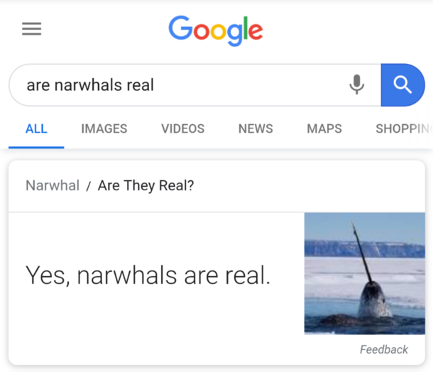 Sheesh Google You didnt have to give me such a tone