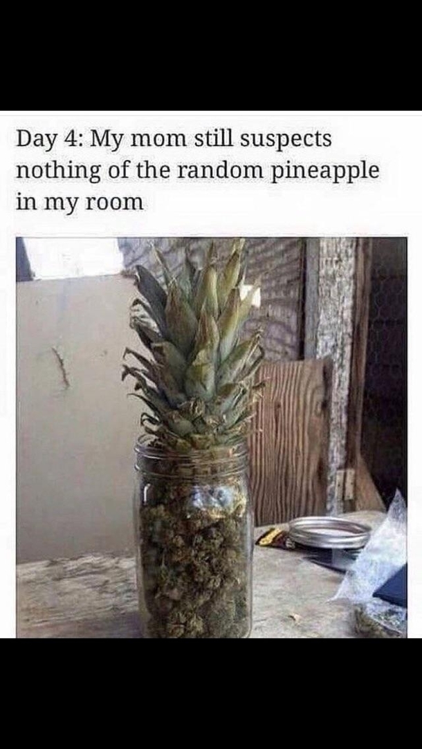 Shell never notice