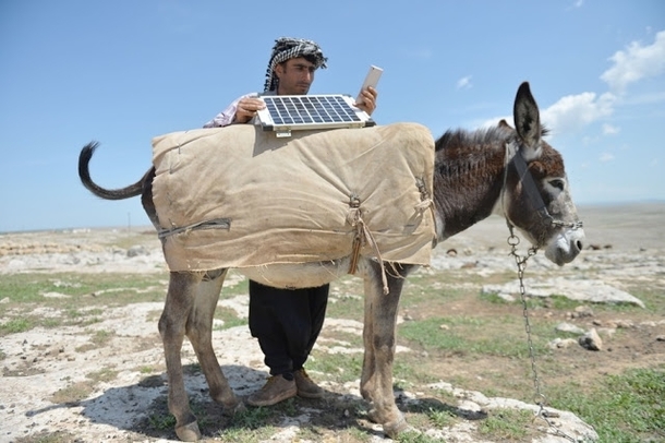 Shepherd Charges Phone Using A Donkey and A Solar Panel
