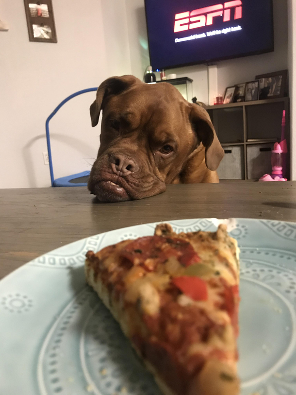 Shes already had three crusts