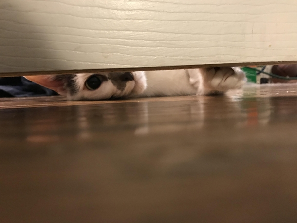 Shes always watching