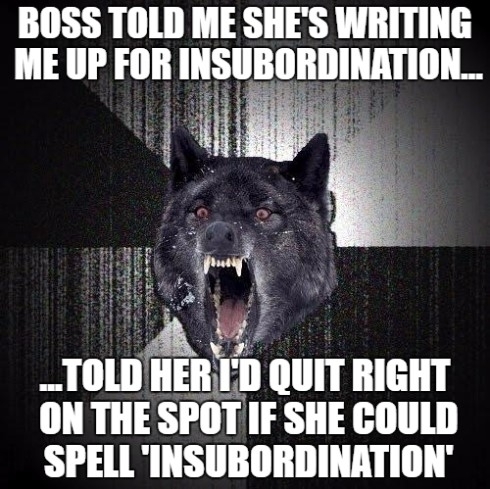 shes been nitpicking at every little thing i do looking for reasons to write me up or get me fired