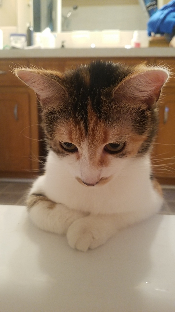 Shes mad because the bathtub is full of water so she cant play in it