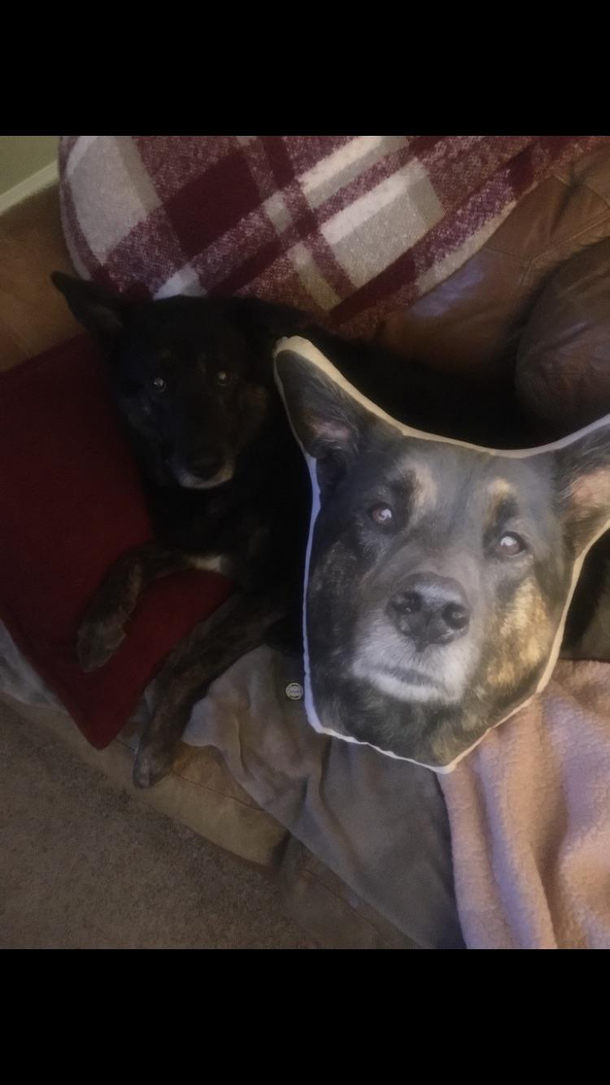 Shes not amused